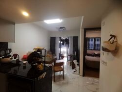 The Lilium (D19), Condominium #460526531